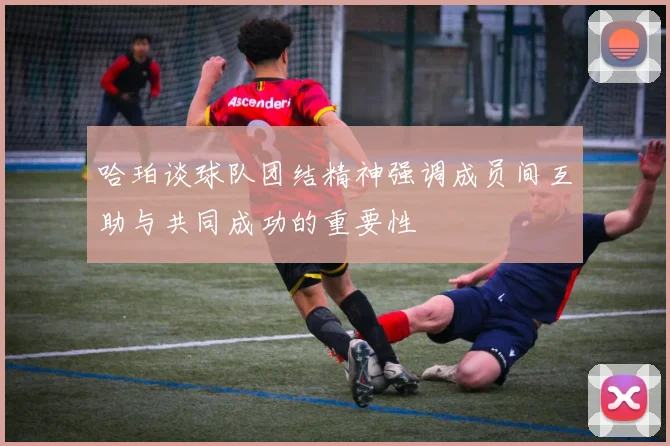 哈珀谈球队团结精神强调成员间互助与共同成功的重要性