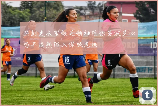 热刺更衣室缺乏领袖范德芬波罗心态不成熟陷入保级危机